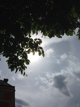 Solen bakom moln och gren