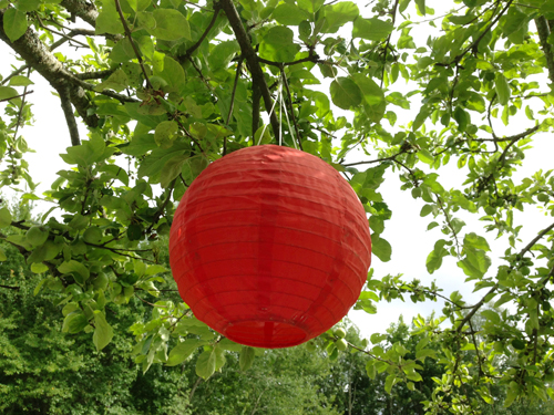 Röd lykta i ett träd