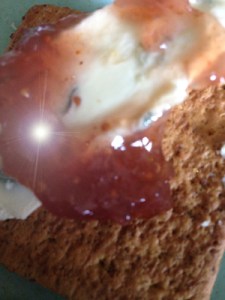 Kex med fikonmarmelad och Blue alpost