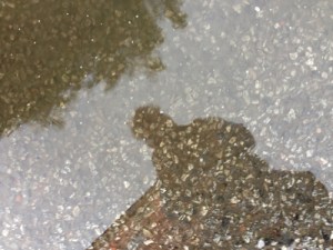 Vattenpöl med min spegelbild