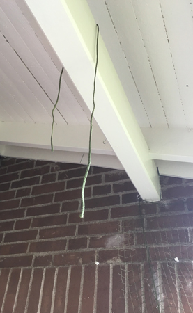 Snöre från takbjälke