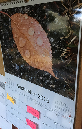 September i fotoalmanackan