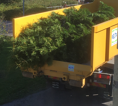 Tuja på lastbilsflak