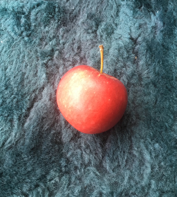 Äpple på bilsätet Äpple på bilsätet