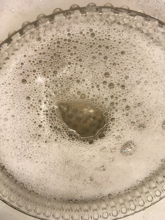 Lampkupa i diskvatten Lampkupa i diskvatten