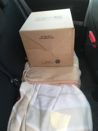 Låda i halva baksätet