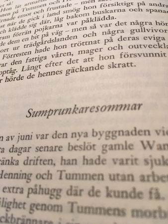 Foto av en sida ur boken Mina drömmars stad med kapitelrubriken Sumprunkaresommar