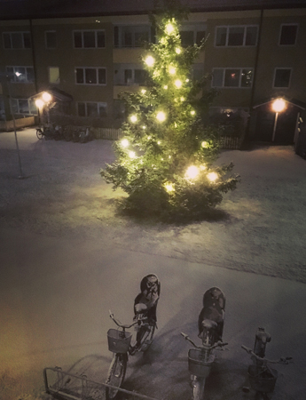 Julgranen på framsidan och snö Julgranen på framsidan och snö