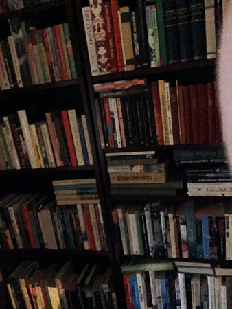 Bokhyllor och min kind