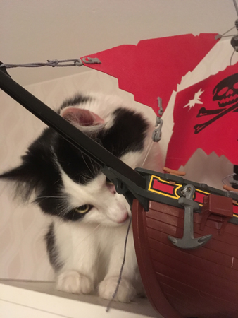 Lucifer och piratskeppet