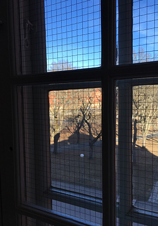 Fönster med vår utanför