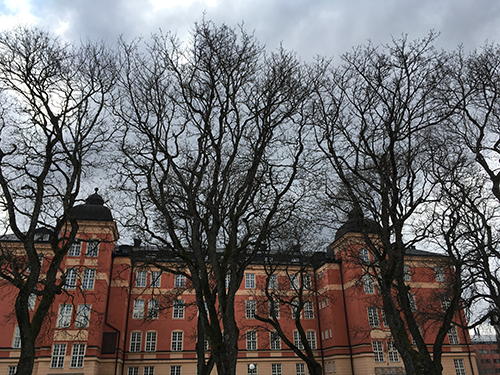 IT-avdelningens hus på Polacksbacken IT-avdelningens hus på Polacksbacken