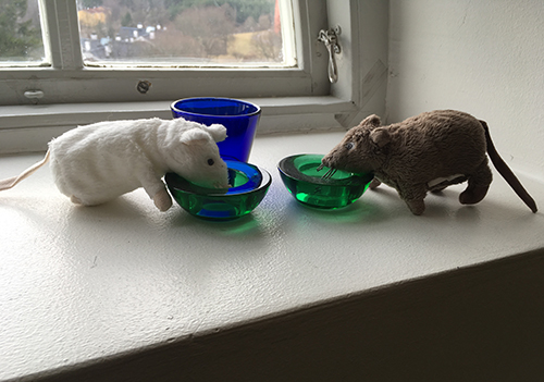 Kontorsråttorna i fönstret på plan fem