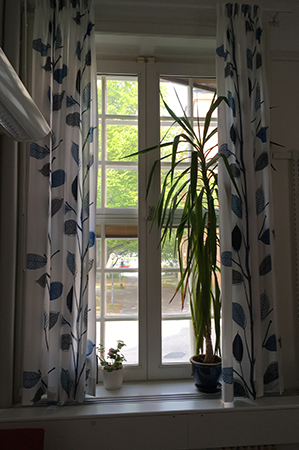  Fönster med hög yuccapalm