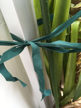 Grönt band om yuccapalmen