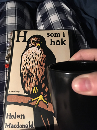 H som i hök och oskarp kaffemugg