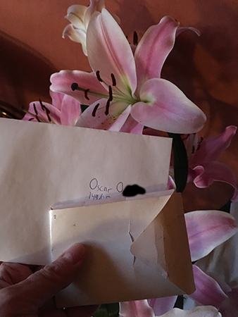 Brev till Oscar vid en rosa lilja