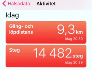 Gångdistans 9,3 och steg 14 482
