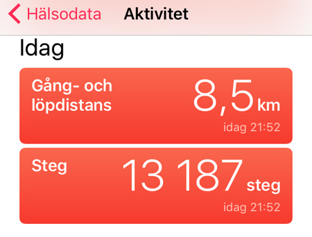 Gångdistans och steg 24 juli 2017