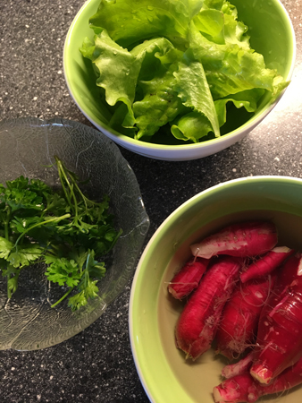 Persilja sallad rädisor