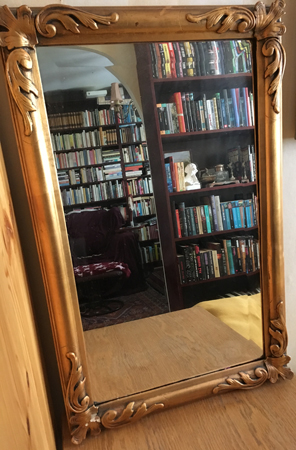 Spegel med bokhyllor