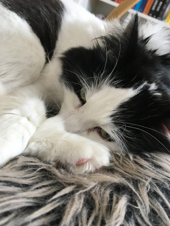 Lucifer i favoritfåtöljen