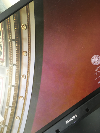 Datorskärm på jobbet