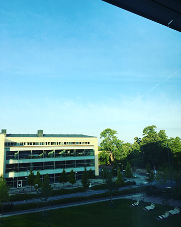 Utsikt från kontorsfönstret solig septembermorgon Utsikt från kontorsfönstret solig septembermorgon