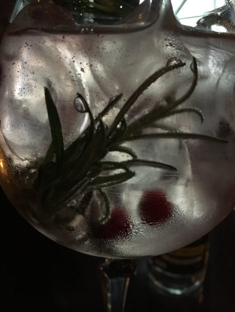 GT med tranbär och rosmarin