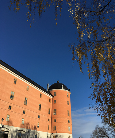 Uppsala slott