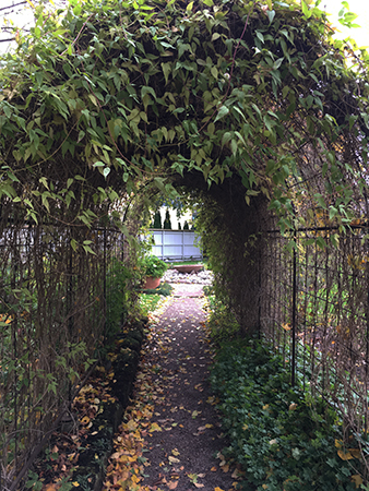 Grönt valv i Botaniska trädgården