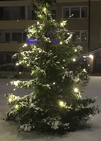 Julgran på gården