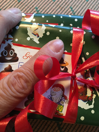 Julklapp med bajs på