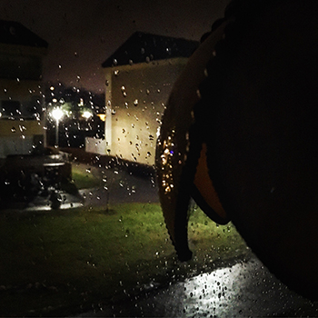 Regn på köksfönstret och grön gräsmatta januari 2018