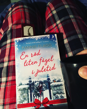 affe och boken En röd liten fågel på sängen