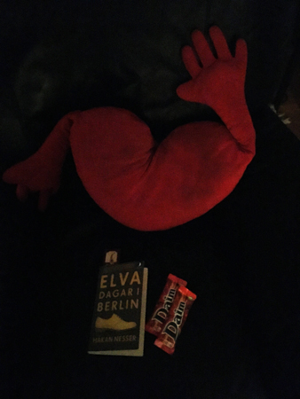 Hjärtkudde bok och Daim i bästefåtöljen