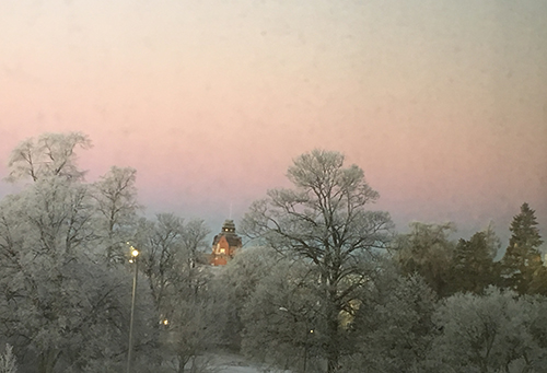 Utsikt från kontorsfönstret