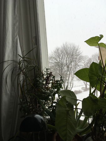 Snö utanför bokrumsfönstret