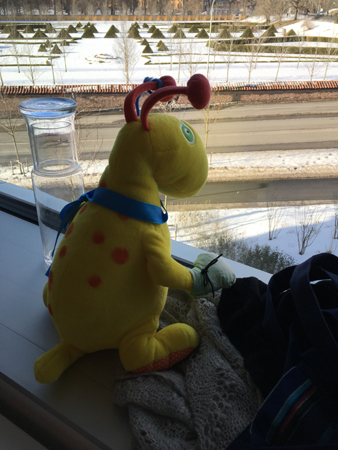 Drake gosedjur i fönster