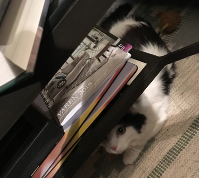 Lucifer smyger under soffbordet