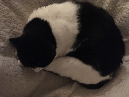 Mini sover ihoprullad