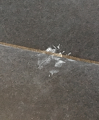 Spår av tassar i hallen