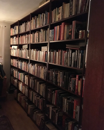 Bokhyllor mot köket Storgatan