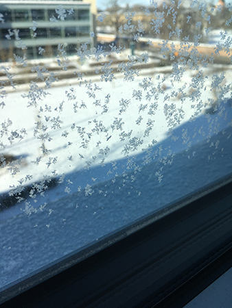 Snökristaller på kontorsfönstret