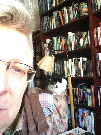 Jag är övervakad av Mini