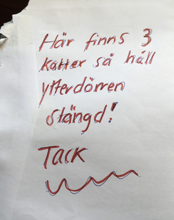 Lapp om katterna till Telia
