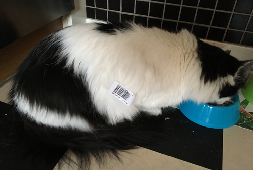 Lucifer äter med prislapp