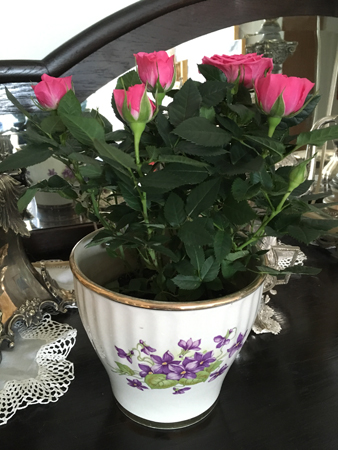 Rosträd i mammas UEkruka