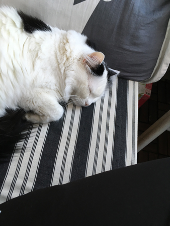 Citrus på balkongsoffan