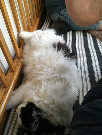 Lucifer mellan oss på soffan på balkongen